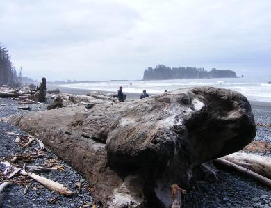 Rialto Beach - Olympic National Park