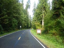 Lake Quinault Olympic National Park