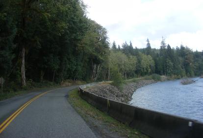 Hoh Rain Forest Area