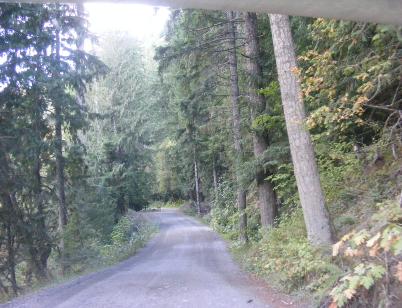 The Road to Staircase - Olympic National Park