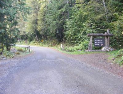 The Road to Staircase - Olympic National Park