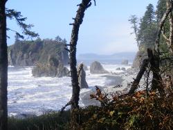 Ruby Beach - Olympic National Park