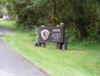 Hoh Rain Forest Area 