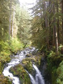 Sol Duc Falls