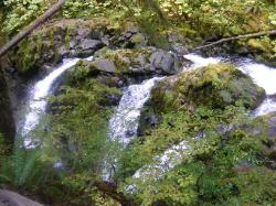 Sol Duc Falls