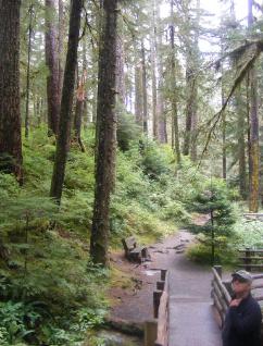 Sol Duc River Bridge