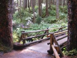 Sol Duc River Bridge