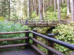 Sol Duc River Bridge