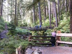 Sol Duc River Bridge