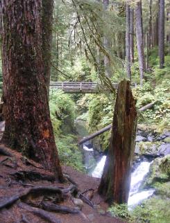 Sol Duc River Bridge
