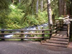 Sol Duc River Bridge