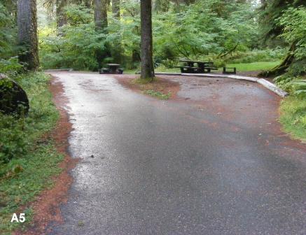 Sol Duc Campground site 5 Olympic National Paark