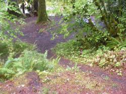 Sol Duc Campground Olympic National Park Site 10