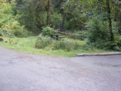 Sol Duc Campground Olympic National Park Site 22