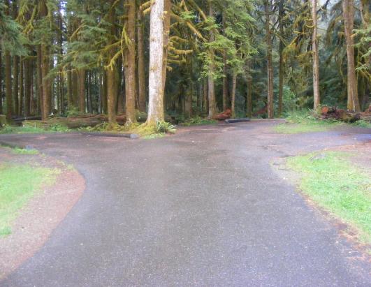 Sol Duc Campground  Olympic National Paark