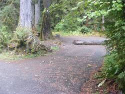 Sol Duc Campground Olympic National Park Site 27