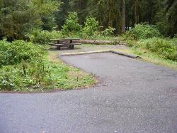 Sol Duc Campground Olympic National Park Site 34