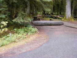 Sol Duc Campground Olympic National Park Site 35