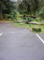 Sol Duc Campground Olympic National Park Site 37