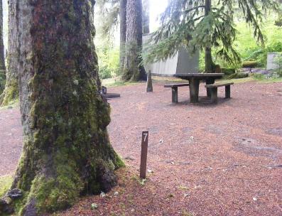 Sol Duc Walk-In site 07