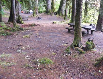 Sol Duc Walk-In site 09