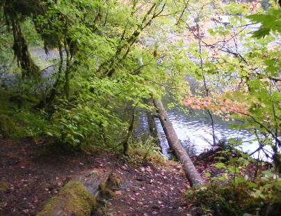 Sol Duc Walk-In site