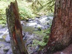 Sol Duc River