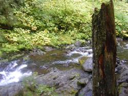Sol Duc River