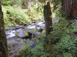Sol Duc River