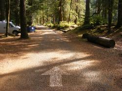 Staircase Campground  - Olympic National Park