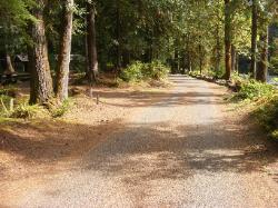 Staircase Campground  - Olympic National Park