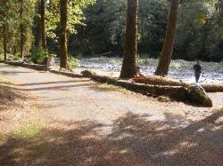 Staircase Campground  - Olympic National Park