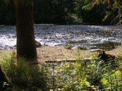 Staircase Campground  - Olympic National Park