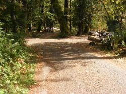 Staircase Campground  - Olympic National Park