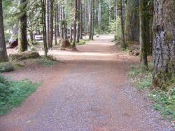 Staircase Campground  - Olympic National Park