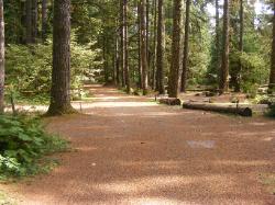 Staircase Campground  - Olympic National Park