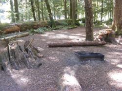 Staircase Campground Site 02 - Olympic National Park