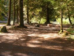 Staircase Campground Site 05 - Olympic National Park