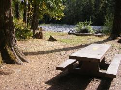 Staircase Campground Site 06 - Olympic National Park