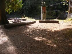 Staircase Campground Site 06 - Olympic National Park