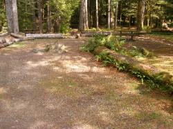 Staircase Campground Site 08 - Olympic National Park