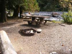 Staircase Campground Site 10 - Olympic National Park