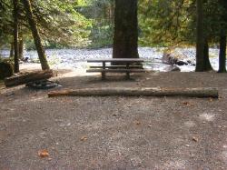 Staircase Campground Site 11 - Olympic National Park