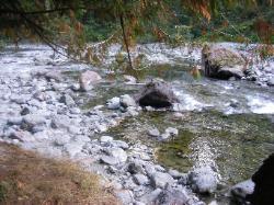 Staircase Campground Site 11 - Olympic National Park