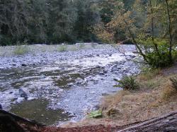 Staircase Campground Site 11 - Olympic National Park