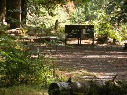 Staircase Campground Site 14 - Olympic National Park