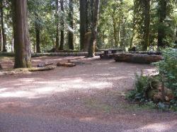 Staircase Campground Site  20 - Olympic National Park