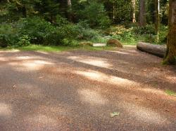 Staircase Campground Site  22 - Olympic National Park