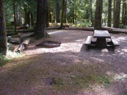 Staircase Campground Site  26 - Olympic National Park