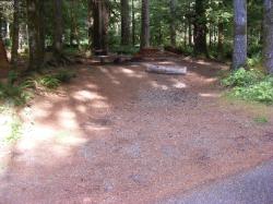 Staircase Campground Site  27 - Olympic National Park